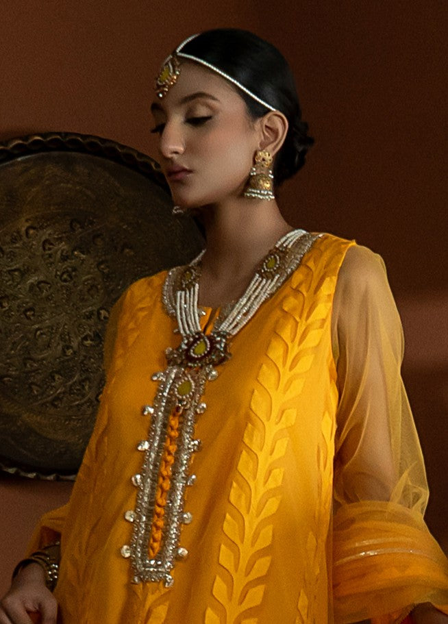 JB-19 - Rabia B