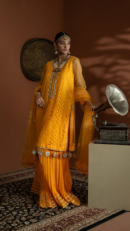 JB-19 - Rabia B